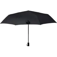 Item thumbnail for item f60bb239-530e-435c-aaba-61e3a0d9d90a