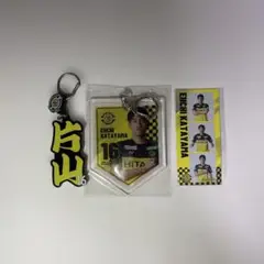柏レイソル 片山瑛一 ラッフル,シークレット