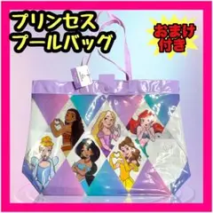 新品 美品 プールバッグ ビニールバッグ ディズニー プリンセス 女の子