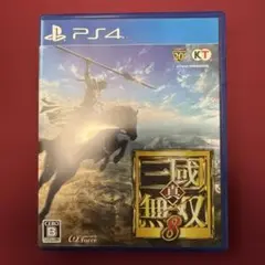 真・三國無双8
