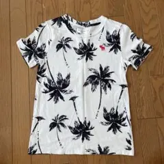 アバクロンビー アバクロ キッズ Tシャツ