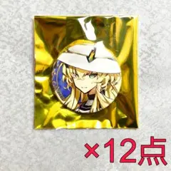 バーゲスト 缶バッジ 霊基缶 FGOフェス 2025 FGO