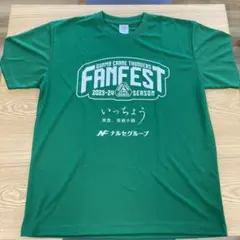 群馬クレインサンダーズ ファンフェスト Tシャツ2023-2024 L