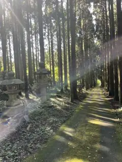 オーロラ水晶♡大浄化