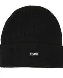 stussy ビーニー