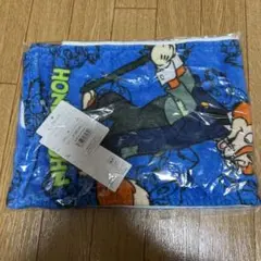 Item thumbnail for item a585606e-4f2e-4d7b-b7e2-e31466aa1f7a