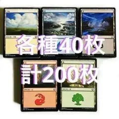 MTG 日本語 基本土地 基本地形 各種40枚 計200枚 リミテッド用 大量