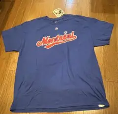 Majestic MONTREAL #45 PEDRO MARTINEZ