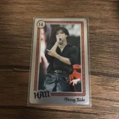 Stray Kids ハン ランダムライブフォトカード エコパ 赤枠