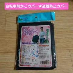 Item thumbnail for item 51c1cdec-3cb8-4bf6-a2e0-641375e781d9