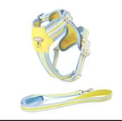 Item thumbnail for item b1640a8c-bcf8-4b5d-ac1e-dafbcd6e720c