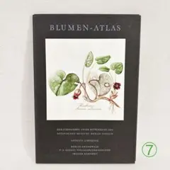 L755 洋書古書 すずらん等植物画160枚収録Blumen Fibel第1巻！ 古洋書 お花の図鑑 Blumen Fibel 初版 ヴィンテージ 入手困難