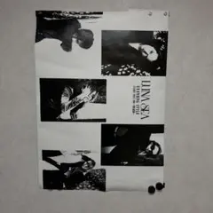 LUNA SEA 1996 ツアーグッズ ポスター ルナシー
