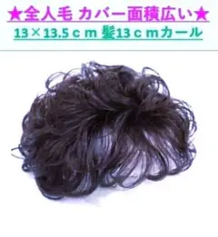 限定セール 人毛100% ふわふわショートカール　部分ウイッグ　簡単 13　黒❤