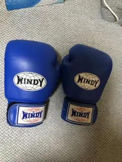 WINDY ボクシンググローブ 8 oz 青