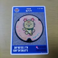 【新品】マンホールカード　新潟県　胎内市　ロイヤル胎内パークホテル　やらにゃん