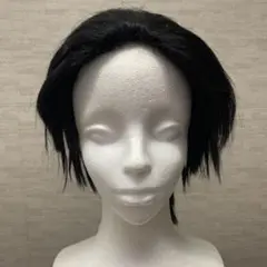 コスプレ ウィッグ ブラック オールバック