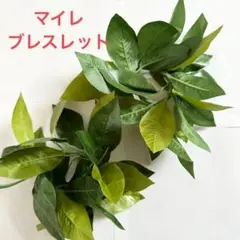 フラダンス 【マイレ】レイポウ　送料無料f