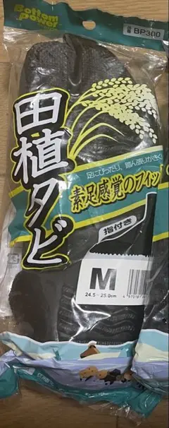 Item thumbnail for item 8651a58a-6060-43e6-b56e-79f10ae908e2