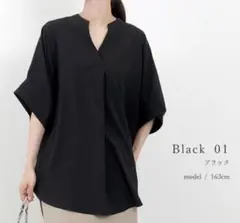 ブラック　エステルローンスキッパードルマンシャツ　ブラウス　フリー　半袖　黒　夏
