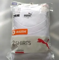 Item thumbnail for item 789baa82-23a4-431a-b54d-69992bf36f49