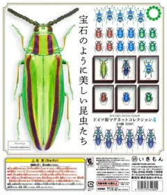 2025年最新】オオセンチコガネの人気アイテム - メルカリ