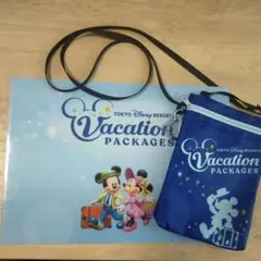 ディズニーバケーションパッケージ特典！クリアファイル＆ミニバッグ