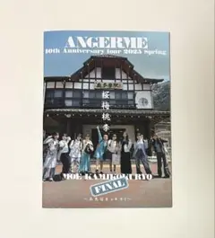 Item thumbnail for item 55719b03-e32b-48cf-b2ab-5071a723bc1e