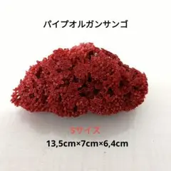 サンゴ礁 珊瑚礁 パイプオルガンサンゴ 魚用品 赤珊瑚 サンゴ 珊瑚 ps40