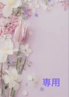 【専用】