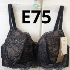 Item thumbnail for item 93e7ea49-6a01-451e-b1d4-85b0da9c7c78