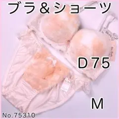 ブラジャーショーツセットＤ75 No.75310