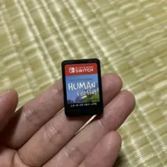 ヒューマンフォールフラット　ソフトのみ