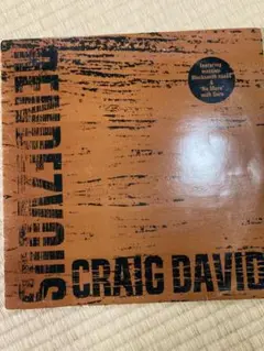 CRAIG DAVID/RENDEZVOUS LPレコード