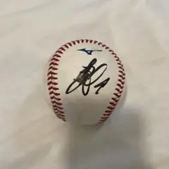 柳田悠岐　球場投げ込み　直筆サインボール 福岡ソフトバンクホークス 柳田悠岐選手 直筆サインボール