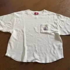コンバースワッフル地半袖Tシャツ　Lナチュラル系