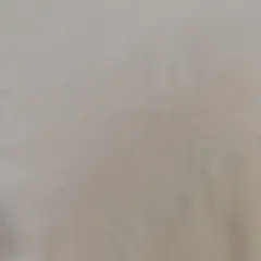 Item thumbnail for item 8b459fac-6ee3-49d6-a54f-42944b6b1856