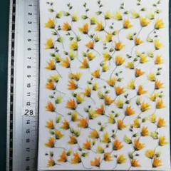 メラスフェルラ　 NO28 2025年 つぼみ付き 押し花 押し花素材