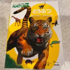 どうぶつ　図鑑　動物