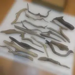 Item thumbnail for item 1caa464e-32b7-484a-adea-557f8c2238b7