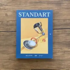 standart 13号