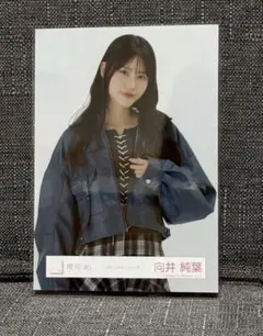 櫻坂46 向井純葉 レタージャケットコーデ