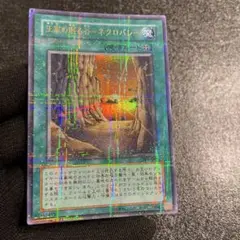 【遊戯王】　王家の眠る谷ネクロバレー　ウルトラパラレル