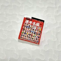 2024 J1 選手名鑑　ガチャガチャ