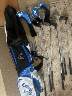 Item thumbnail for item c08a8167-149f-495a-bc7f-c853acb83398