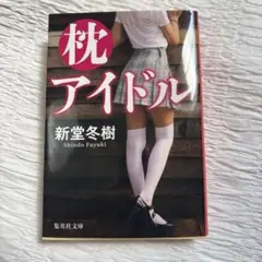 枕アイドル／新堂冬樹