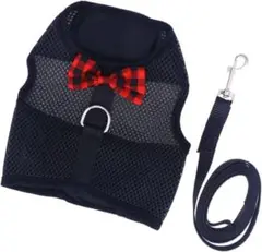 Item thumbnail for item c42fbaaf-f11d-463f-ab0b-e58a78a49d5b