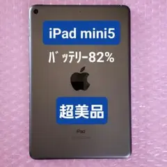 超美品　iPad mini (第5世代) バッテリー最大容量82％スペースグレイ
