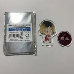 ハイキュー!! アクリルスタンド　ゴミ捨て場の決戦ver.B 孤爪研磨