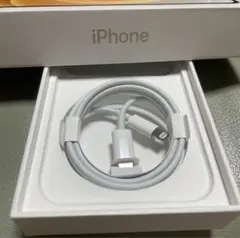 Lightning to USB Type-Cケーブル Apple純正　未使用